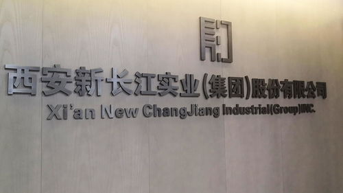 西安新长江实业 集团 