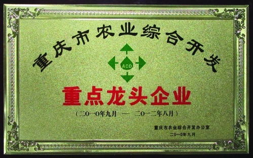 重庆美德实业集团