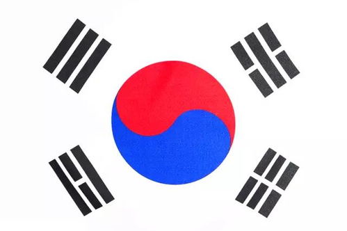 山钢实业集团总经理率队赴东南亚开拓市场，成果丰硕